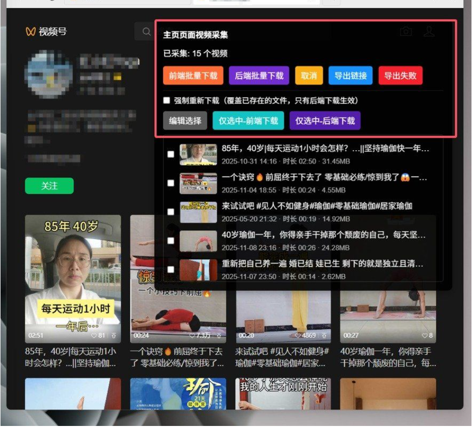 微信视频号下载助手 WX Channel Downloader V5.26